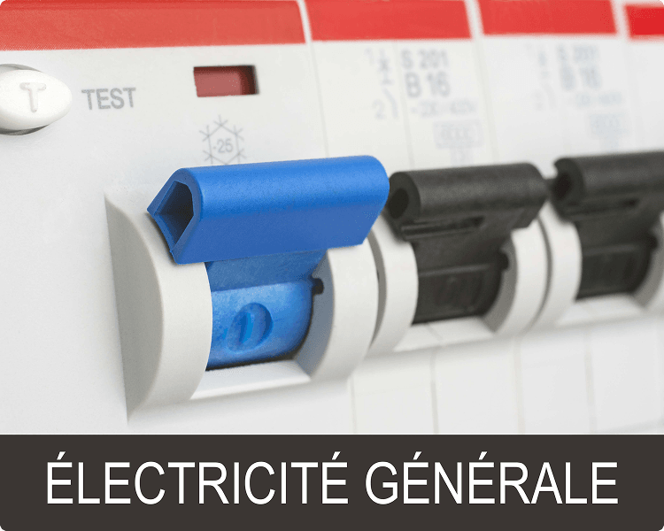 électricité fibre optique réseaux Guyane